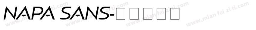 NAPA SANS字体转换
